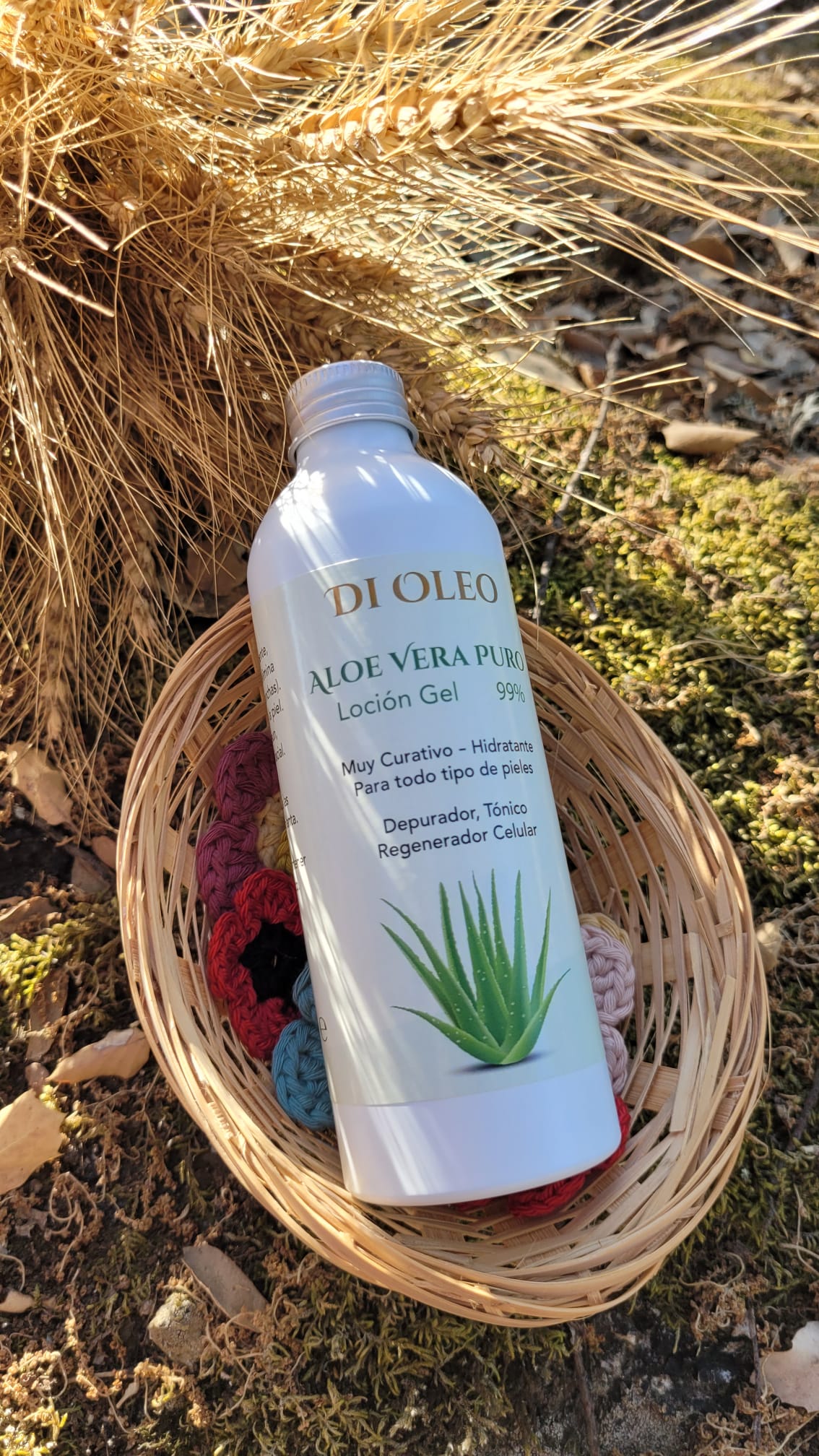 aloe vera